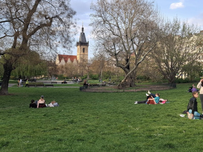 Výzva ve znamení slova ZVOLNI
